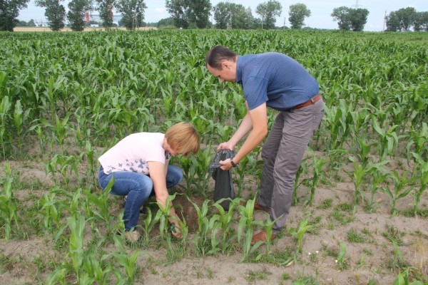 svinecz-–-v-norme!